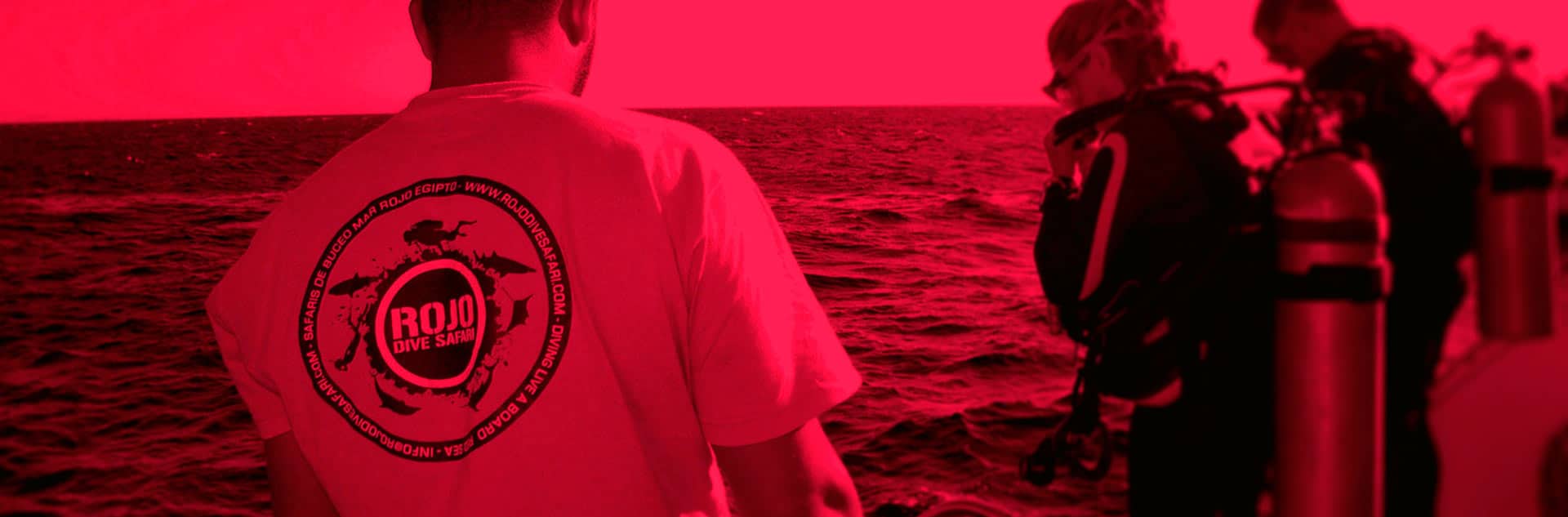 rds, mar rojo, rojo dive safari