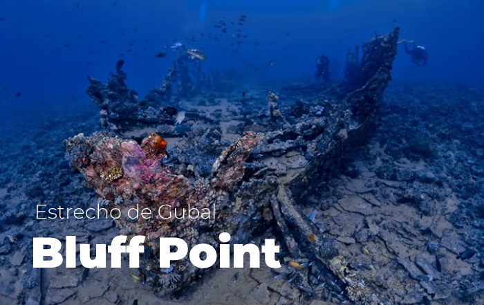Bluff Point Gubal Mar Rojo
