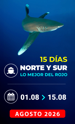 Vida a bordo Mar Rojo Agosto 2026