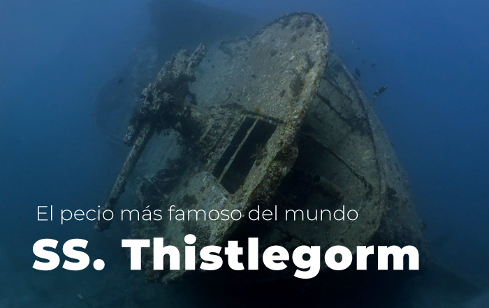 SS Thistlegorm Mar Rojo