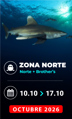 Vida a bordo Mar Rojo Puente Octubre 2026