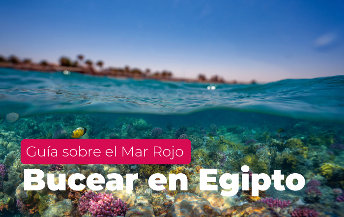 Guia de buceo Mar Rojo Egipto