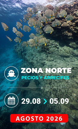 Vida a bordo Mar Rojo Agosto 2026