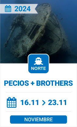 Ruta Pecios + Brothers Mar Rojo