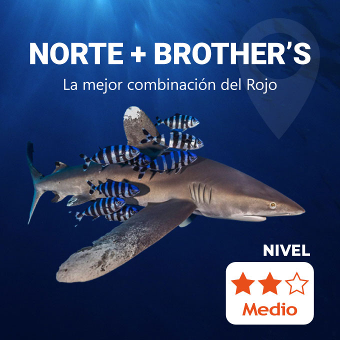 Ruta Norte+Brothers Mar Rojo