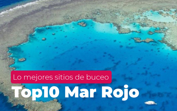 Bucear en el Mar Rojo