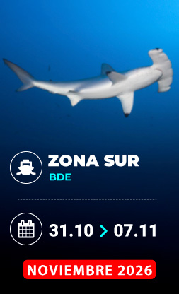 Vida a bordo Mar Rojo Puente Noviembre 2026