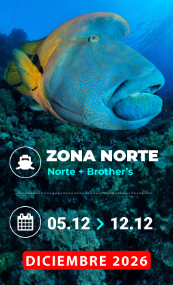 Vida a bordo Mar Rojo Puente Diciembre 2026