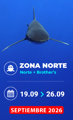 Vida a bordo Mar Rojo Septiembre 2026