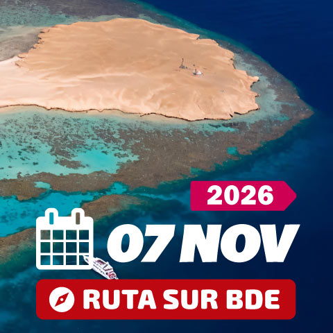 Mar rojo Noviembre 2026