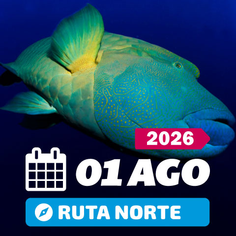 Mar rojo Agosto 2026