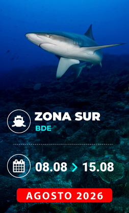 Vida a bordo Mar Rojo Agosto 2026