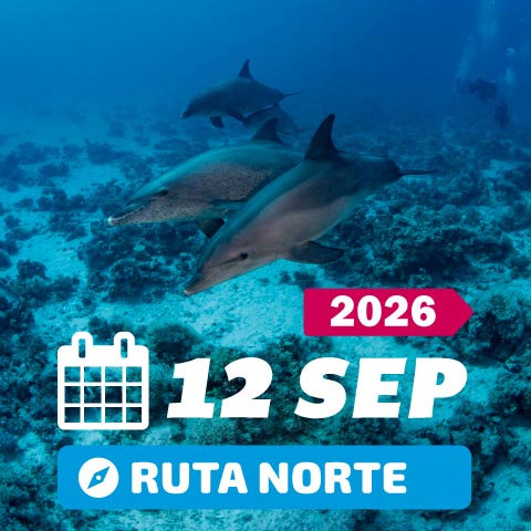 Mar rojo Septiembre 2026