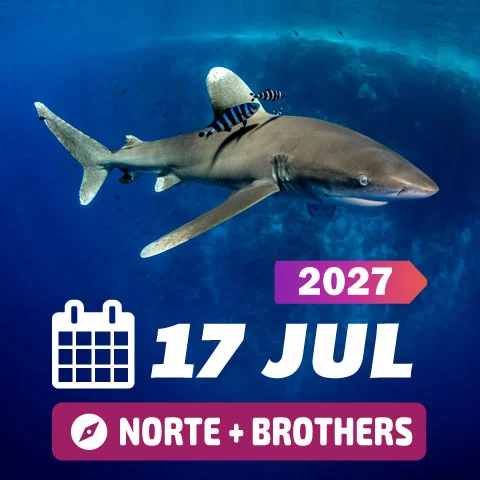 Buceo Mar Rojo 2027