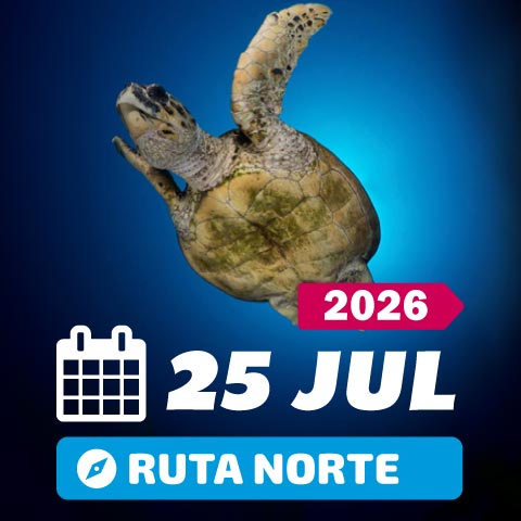 Mar rojo Julio 2026