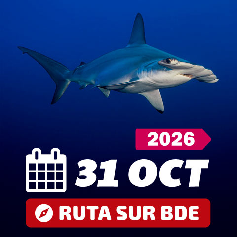 Mar rojo Octubre 2026