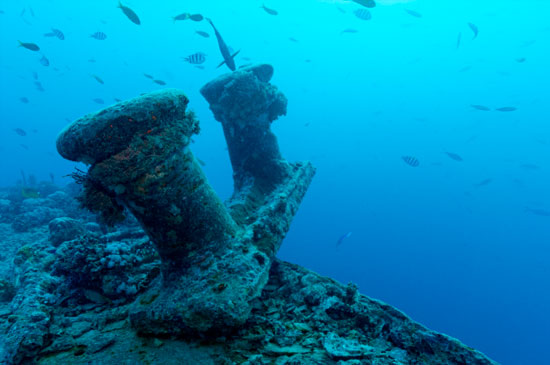 Mala practica Thistlegorm