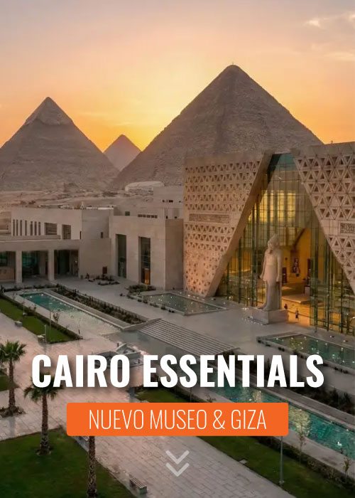 Extensión Cairo Rojo Dive Safari