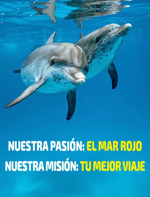 RDS Mar rojo