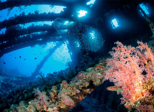 Pasillo interior del barco hundido Carnatic Pasillo interior del barco hundido Carnatic