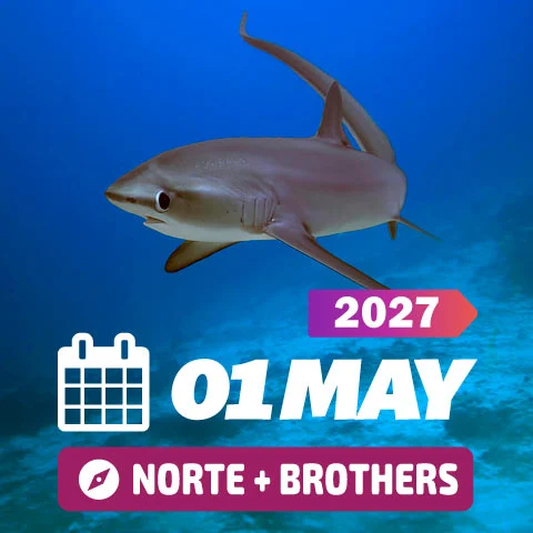 Mar Rojo 2027 Viaje vida a bordo