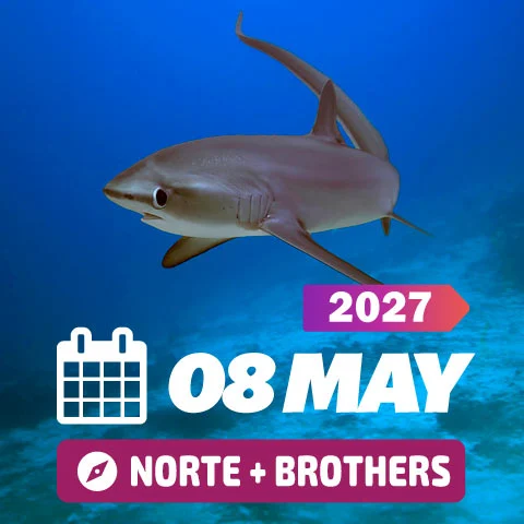 Vida a bordo Egipto Mayo 2027