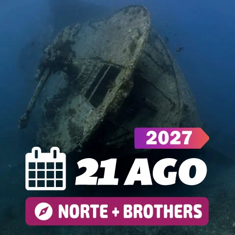 Buceo Mar Rojo Agosto 2027