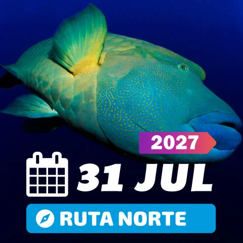 Eclipse Mar Rojo 2027